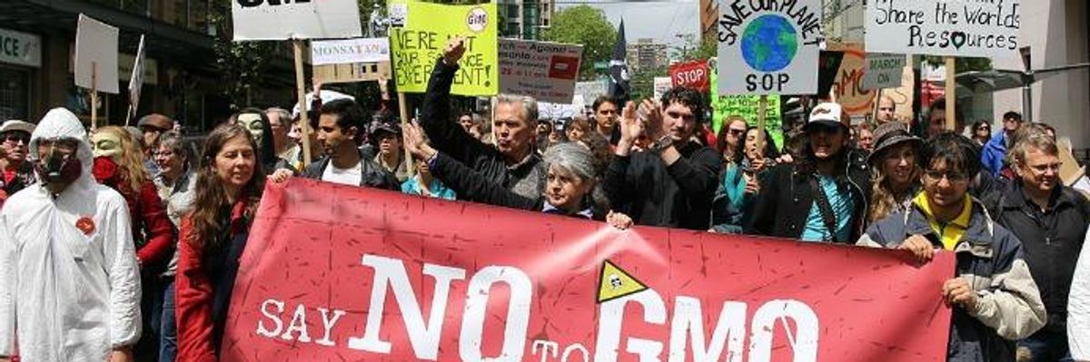 Despite Ban and New Labels, Study Reveals 'Large-Scale Illegal Presence' of GMOs in India's Food Supply