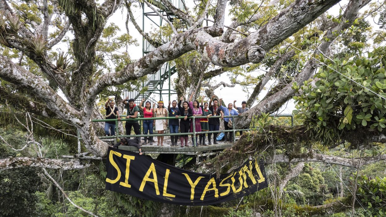 Indigenous activists with banners in Yasuni National Park