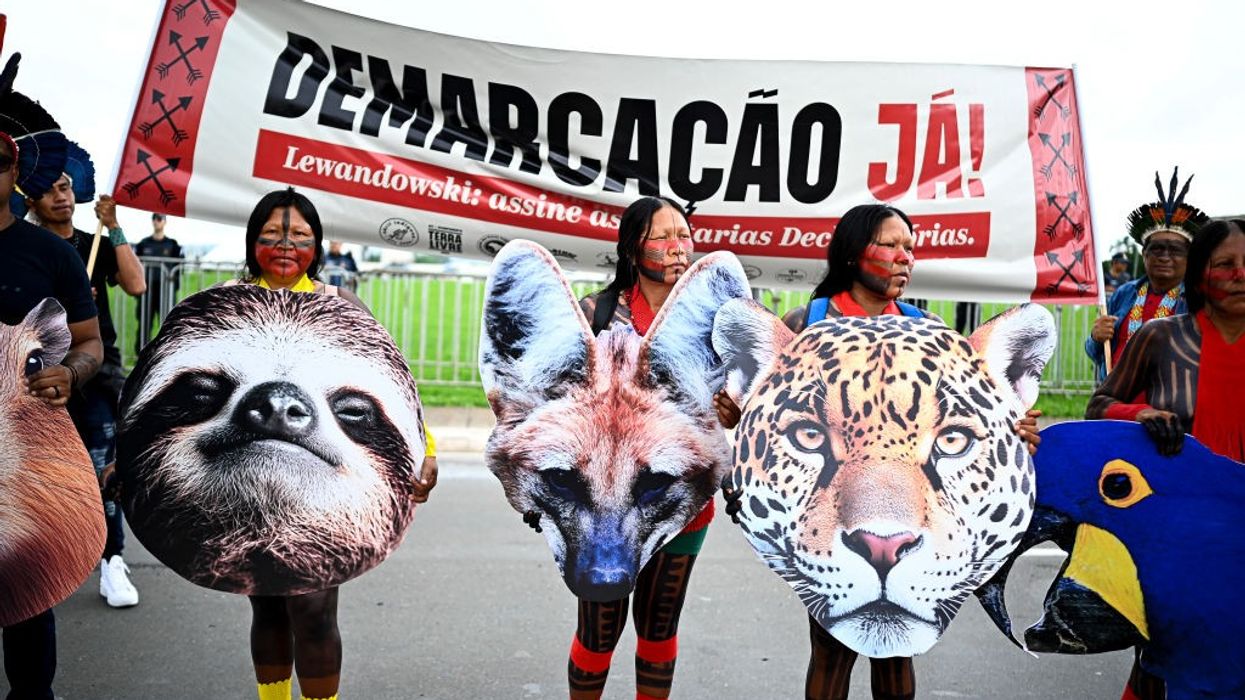 Indigenous Brazilians march for demarcation, in Brasília