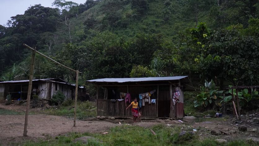 Indigenous Colombians return to ancestral lands.