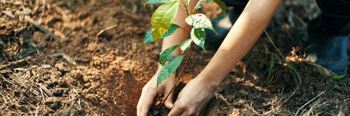 Investing In Nature Is Essential to Our Shared Future