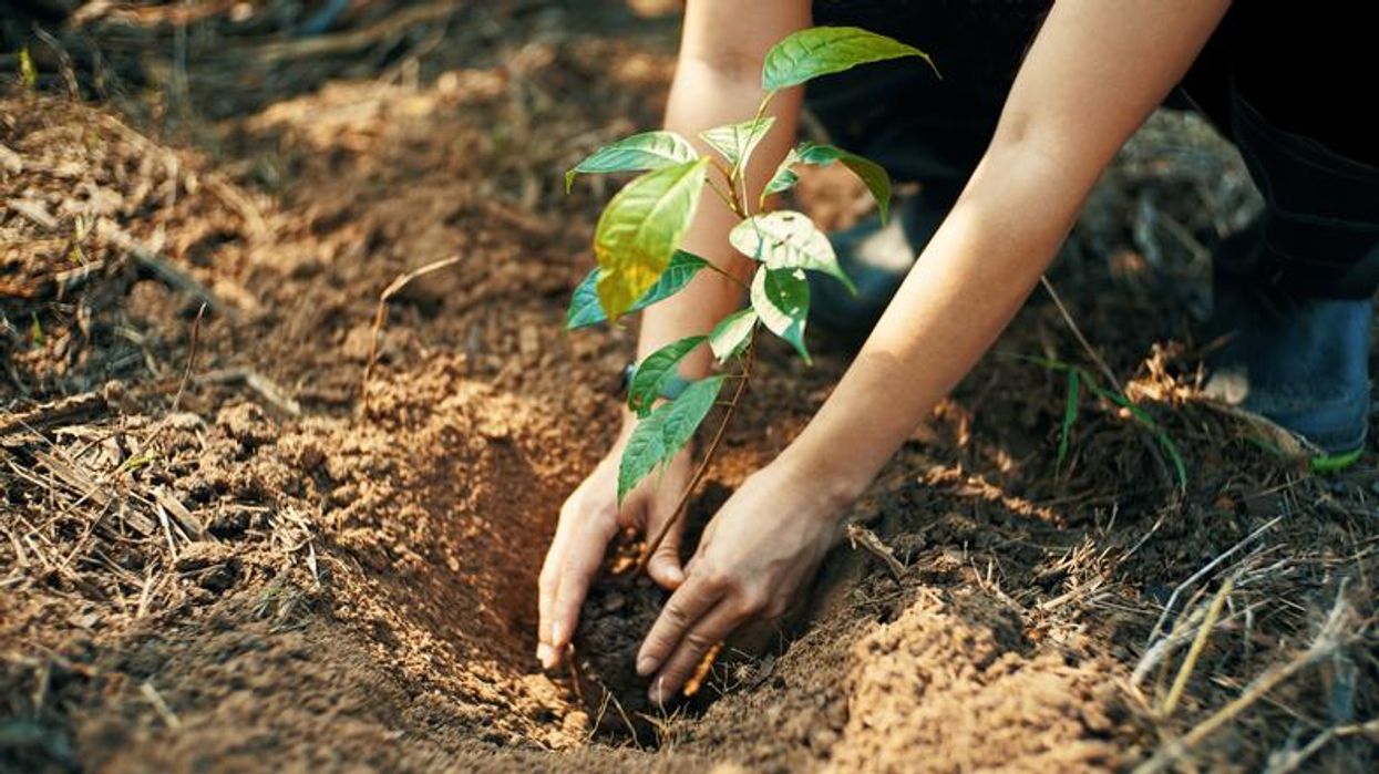 Investing In Nature Is Essential to Our Shared Future
