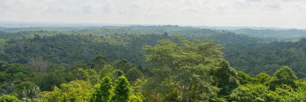 The Best Climate Change Solutions Benefit Humanity and Nature