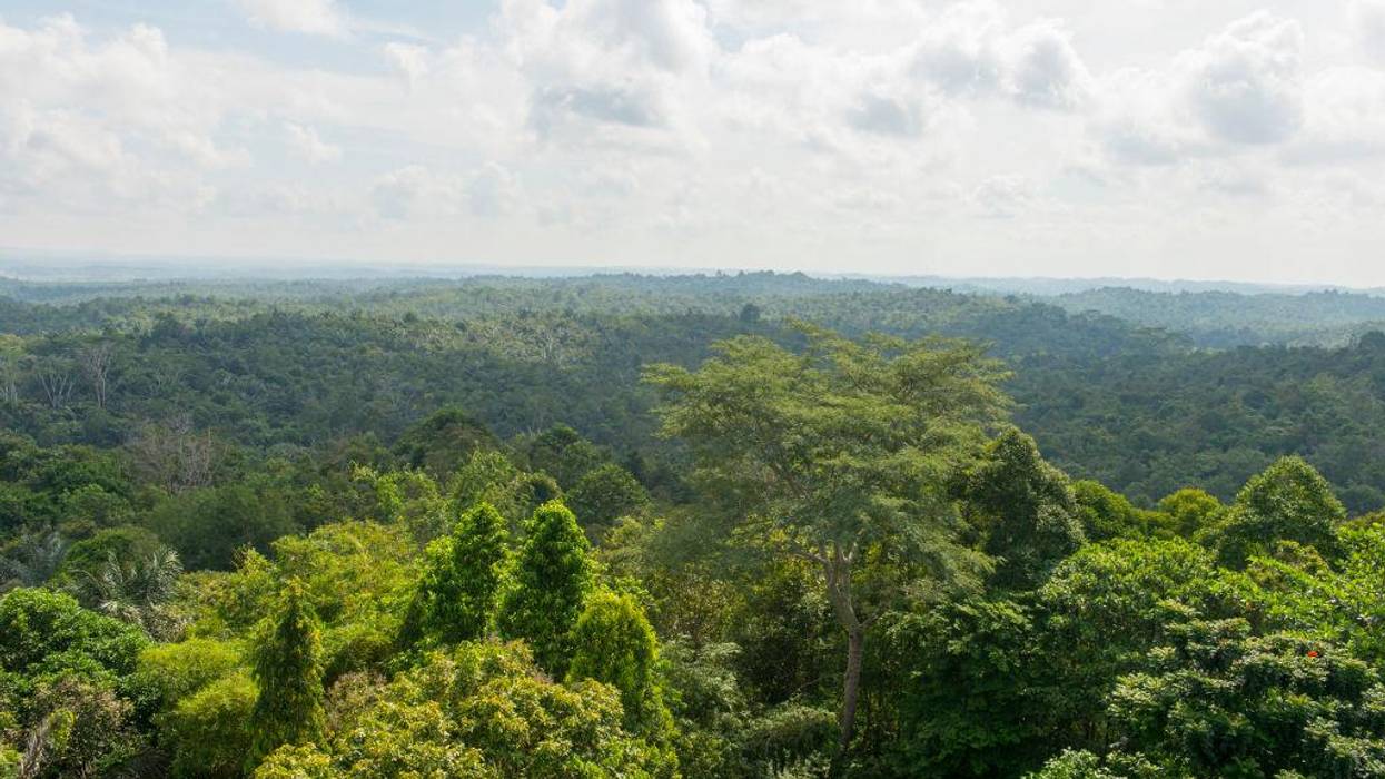 The Best Climate Change Solutions Benefit Humanity and Nature