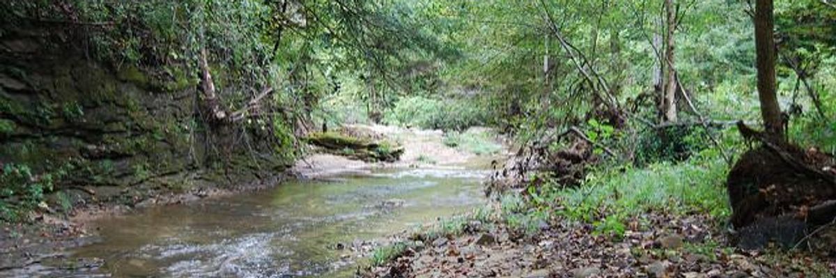 From 'Sea to Shining Sea,' Industrial Ag Fouls America's Waterways