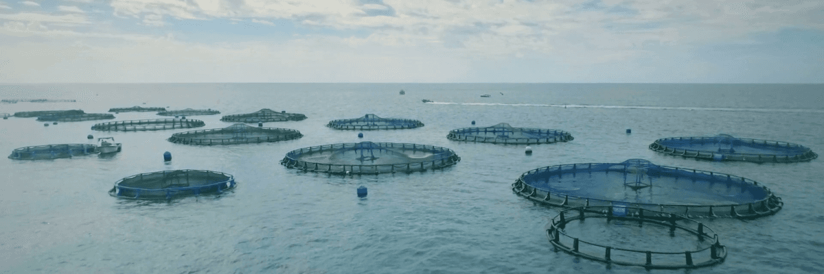 Your Tax Dollars at Work