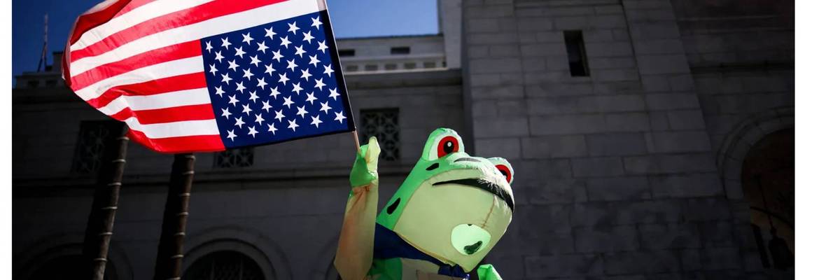 Inflatable frogs declaring a national emergency