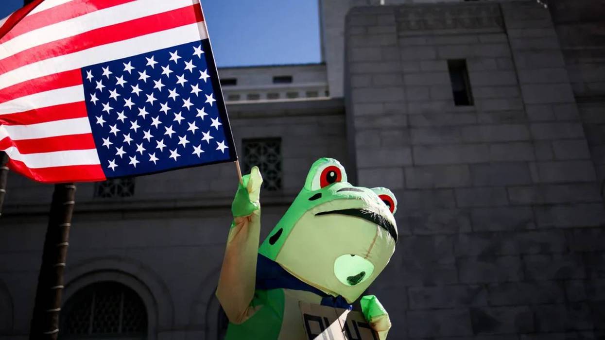 Inflatable frogs declaring a national emergency