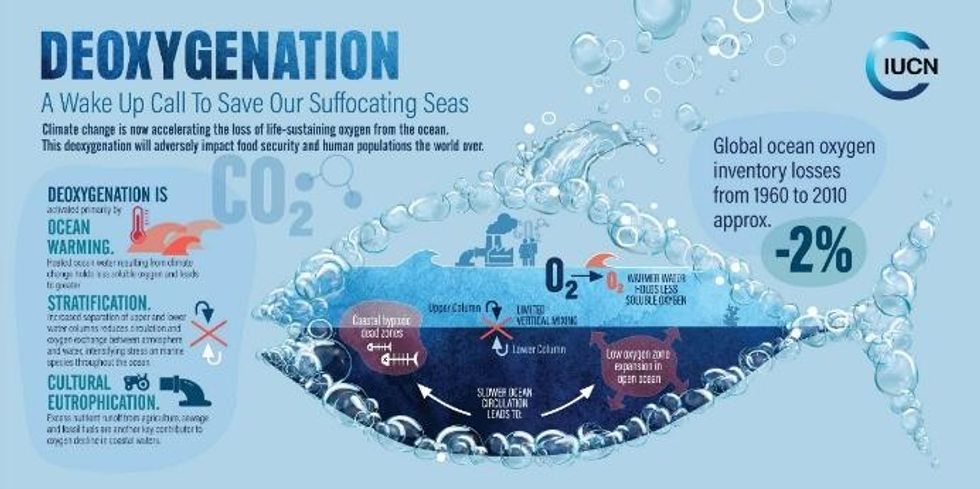 Infographic on deoxygenation from IUCN