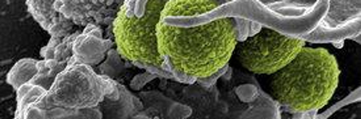Official: 'Catastrophic Threat' of Antibiotic-Resistant 'Superbugs'