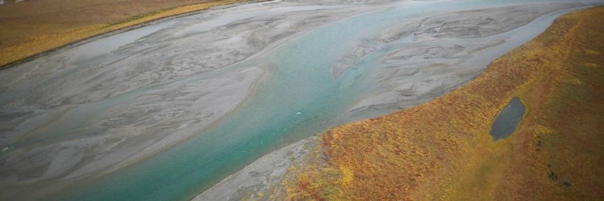 Investors Controlling $2.5 Trillion Stand With Indigenous People Against Trump Plan to Drill 'Sacred' Arctic Refuge