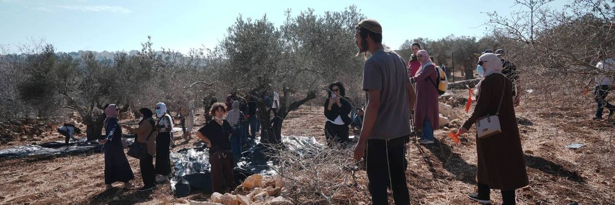 Israeli settler attacks on Palestinian farmers harvesting olives in the West Bank