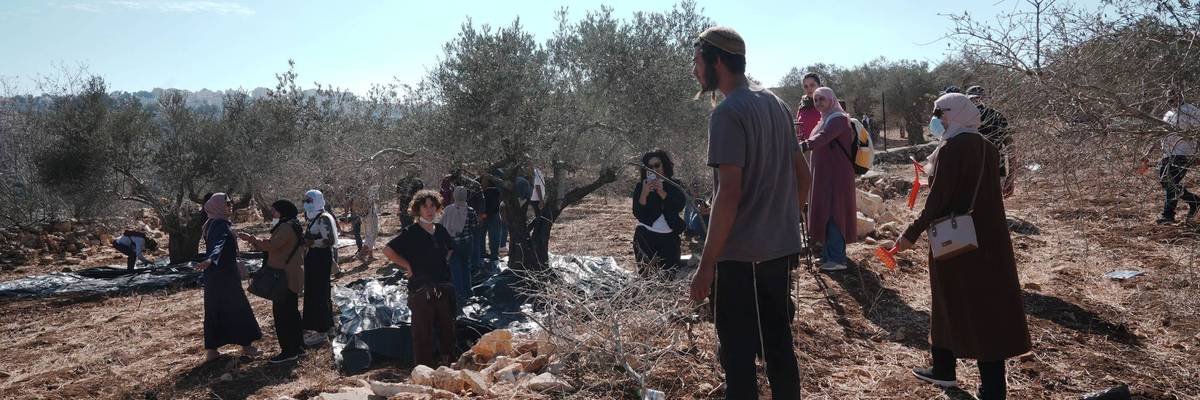 Israeli settler attacks on Palestinian farmers harvesting olives in the West Bank