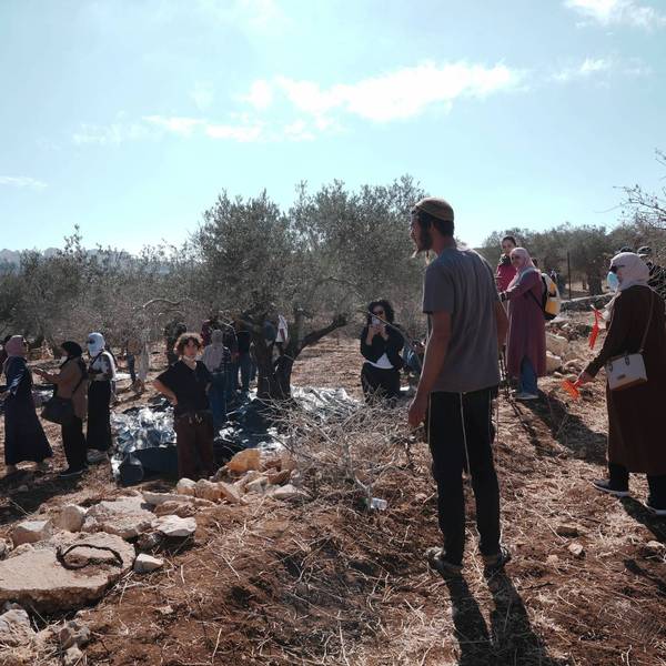Israeli settler attacks on Palestinian farmers harvesting olives in the West Bank