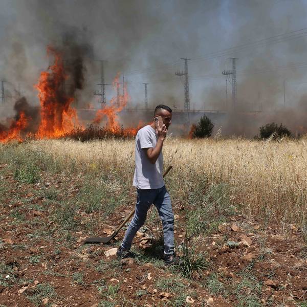 Israeli settlers set fire to Palestinians' agricultural fields in the West Bank