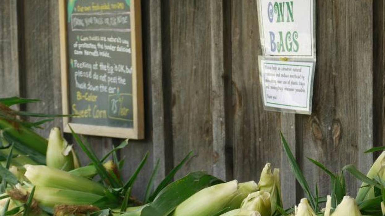 Canada Needs A Progressive National Food Policy