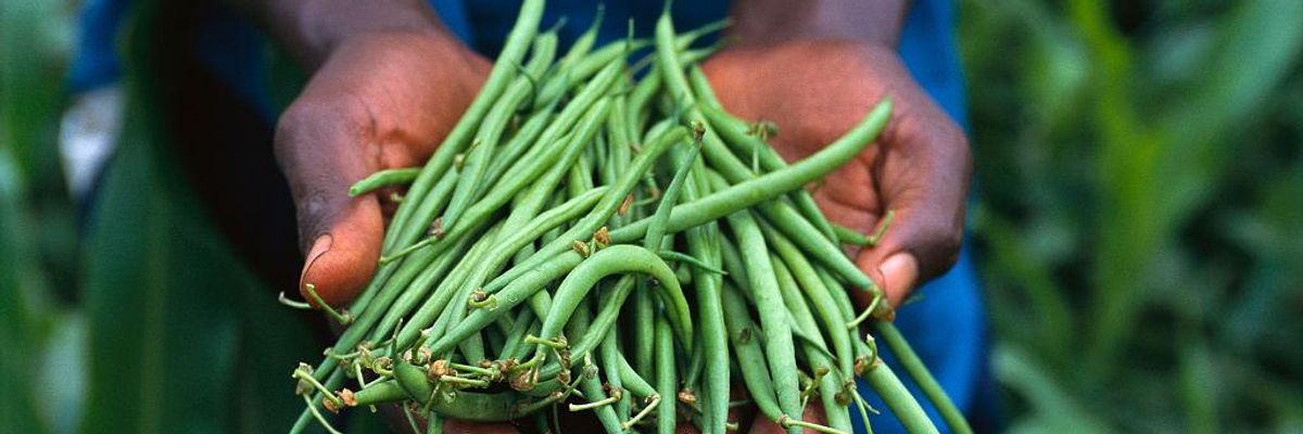 Food Sovereignty: A Manifesto for the Future of Our Planet