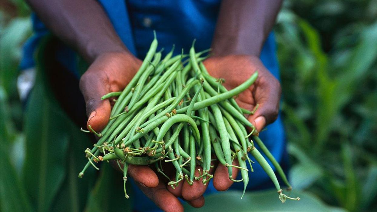 Food Sovereignty: A Manifesto for the Future of Our Planet