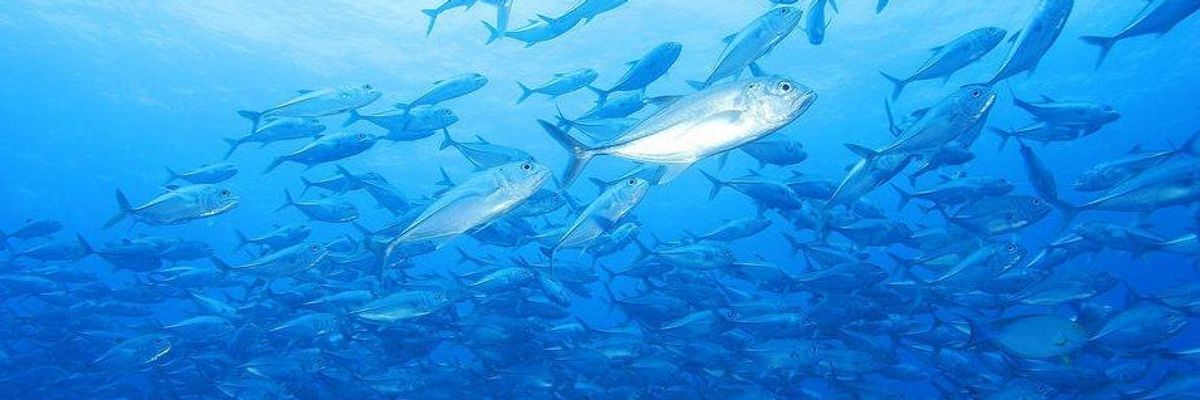 Trump Signs Executive Order Greenlighting 'Corporate Takeover of Our Oceans While They Hope We Aren't Paying Attention'