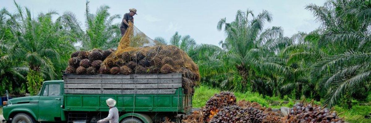We Need to Talk About Palm Oil
