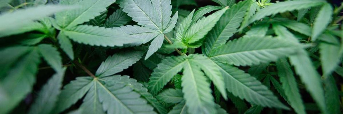 Will Ohio Legalize Pot on Tuesday?