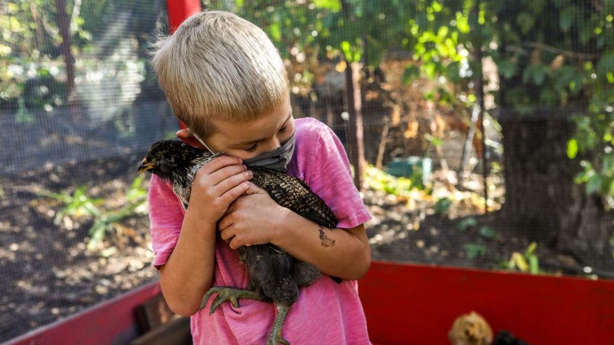 Protecting Animals Isn't Just the Right Thing--It's Uniting Politics