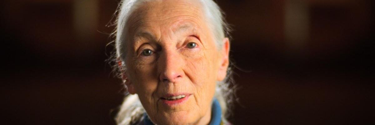 Jane Goodall
