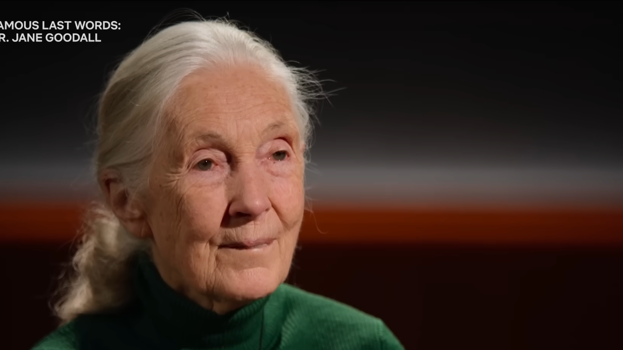 Jane Goodall