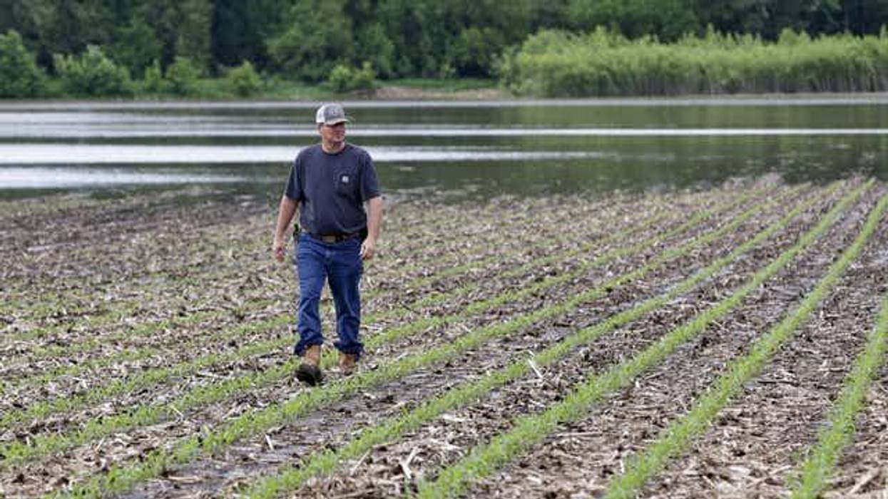 US Agriculture Needs a 21st-Century New Deal