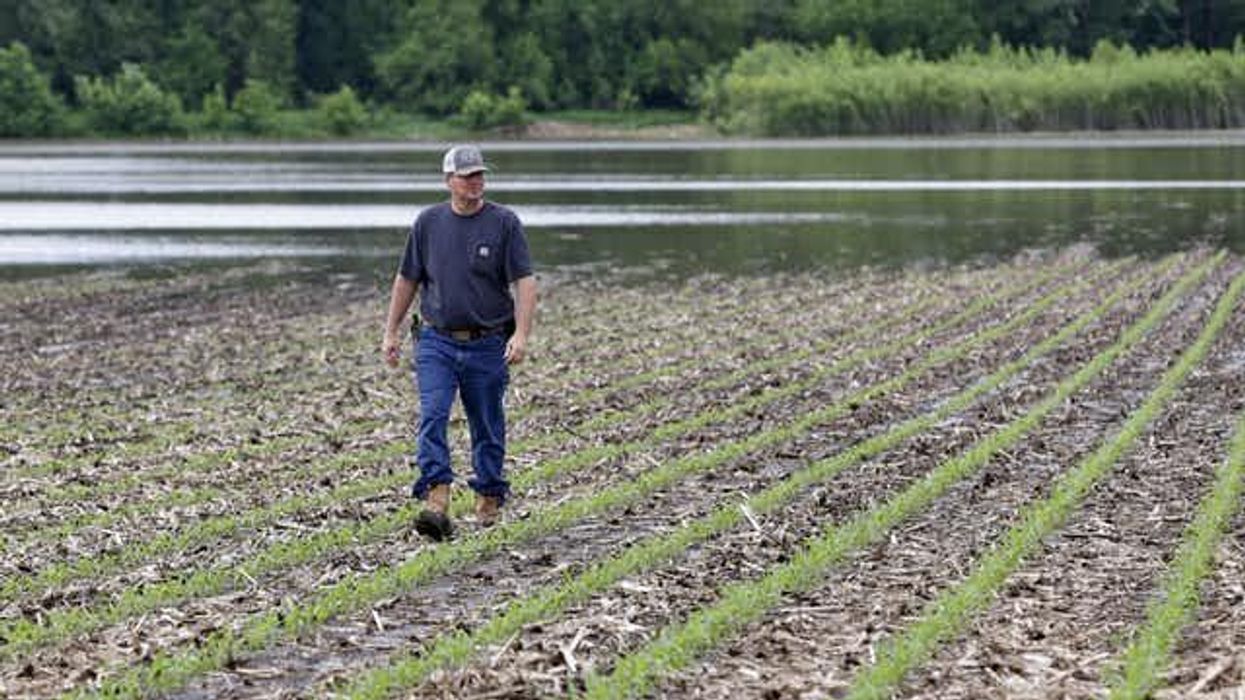 US Agriculture Needs a 21st-Century New Deal