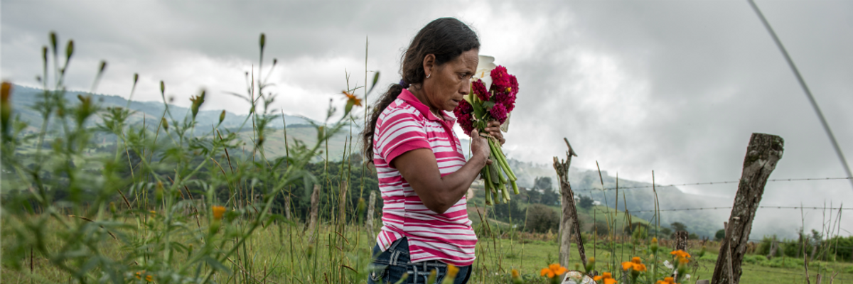 Nearly Four Eco-Defenders Killed Per Week in 2017 Amid 'Ruthless Scramble' for Resources