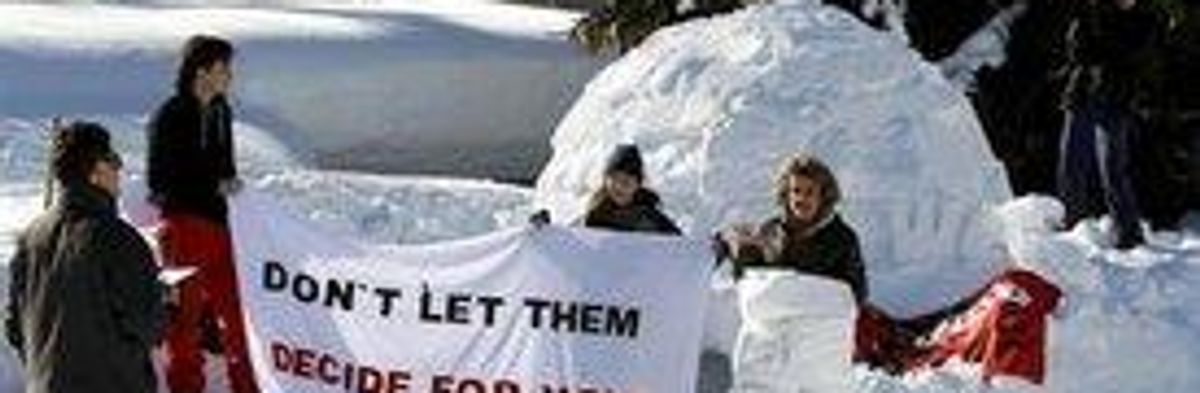 Occupy Davos Builds Igloo Village in Shadow of World's Elite