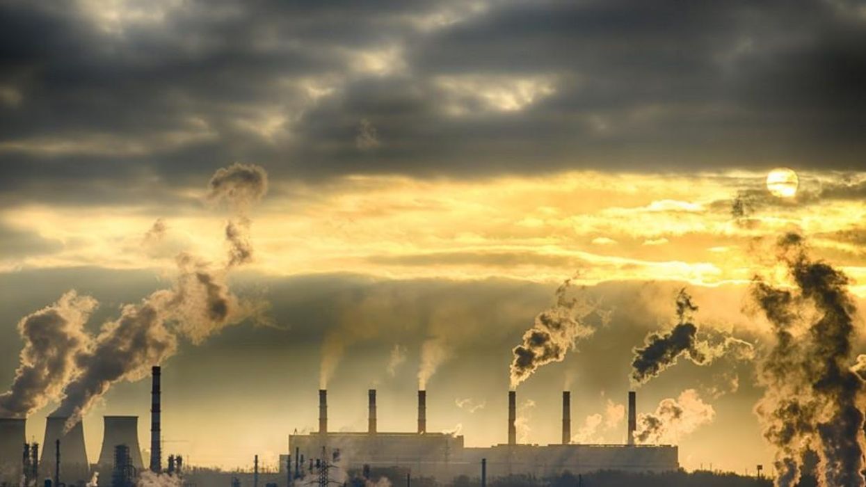 killingcoal