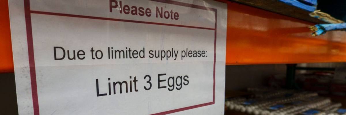 Kirkland Eggs At Costco