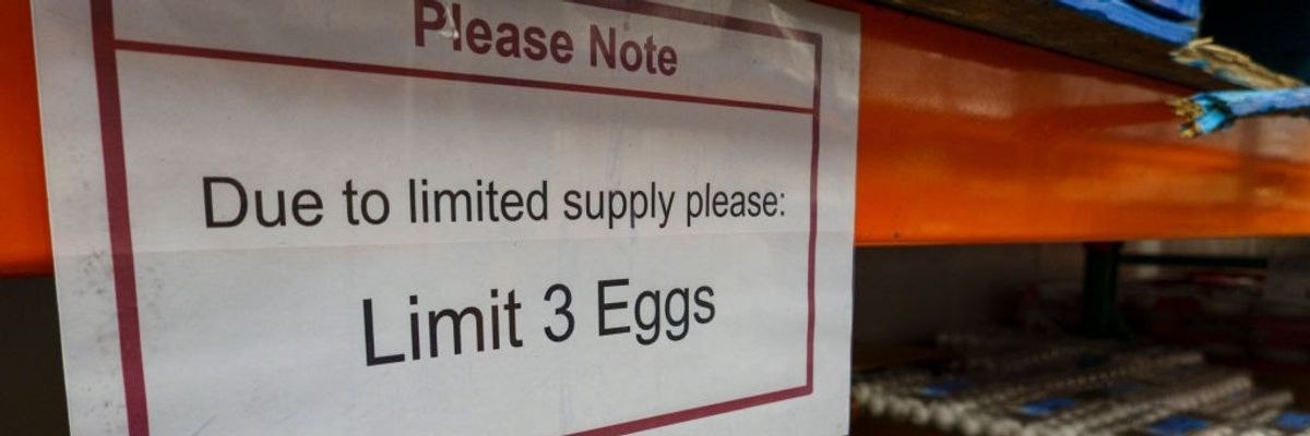 Kirkland Eggs At Costco