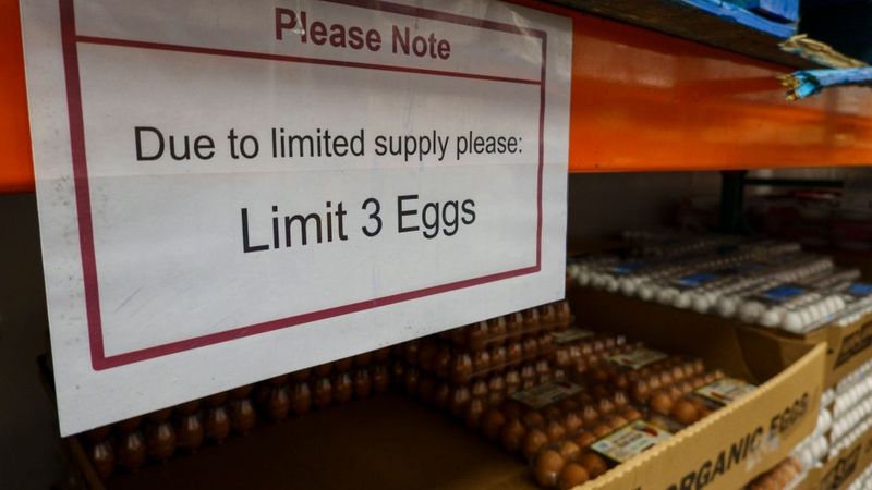 Kirkland Eggs At Costco