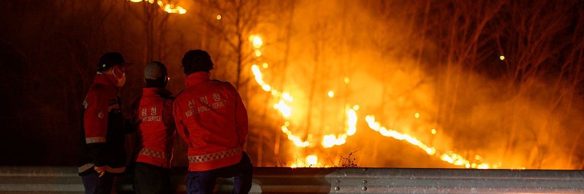Korea Forest Service personnel observe a wildfire