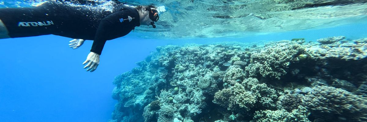 lan Wallish inspects a coral head along the Great Barrier Reef on August 10, 2022 on Hastings Reef, Australia.