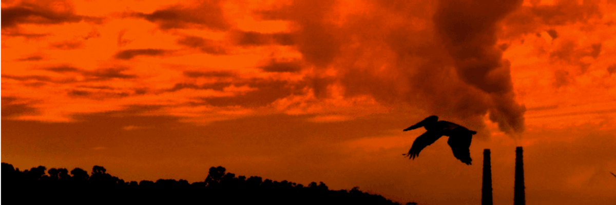 2015 Officially the Hottest Year on Record