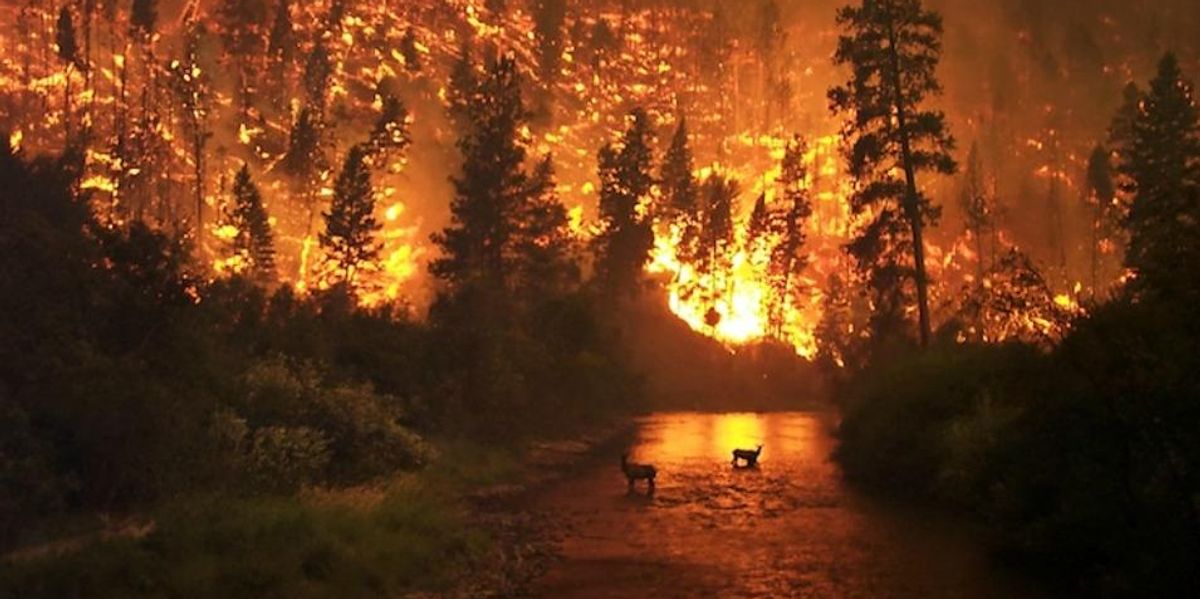 Climate Change is Here and Now, Dire NOAA Report Warns