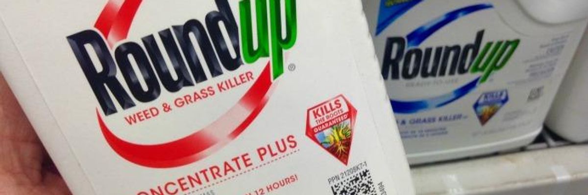 EU Watchdog Under Fire for Monsanto Analysis Copy/Pasted into Roundup Safety Report