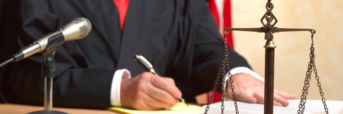 Are Judges Just Politicians in Robes?