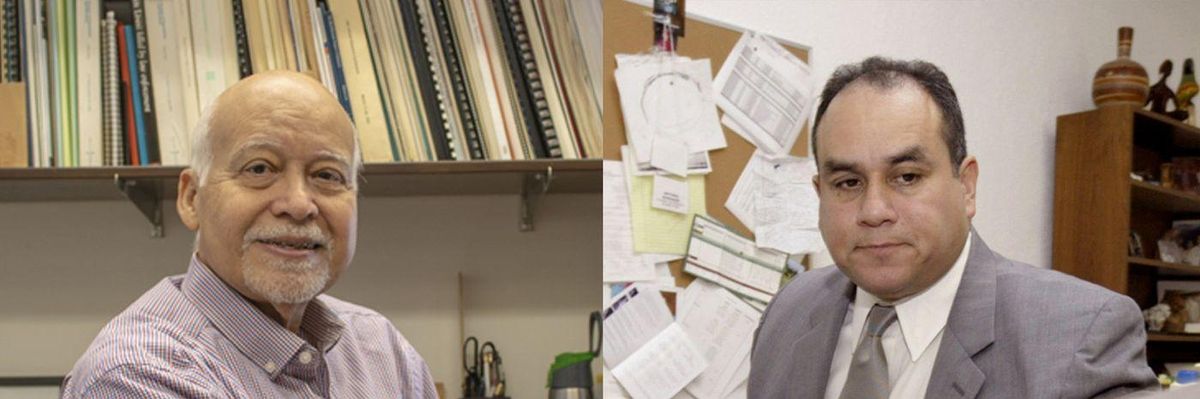 Remember the Activists Who Helped Power the Blue Wave