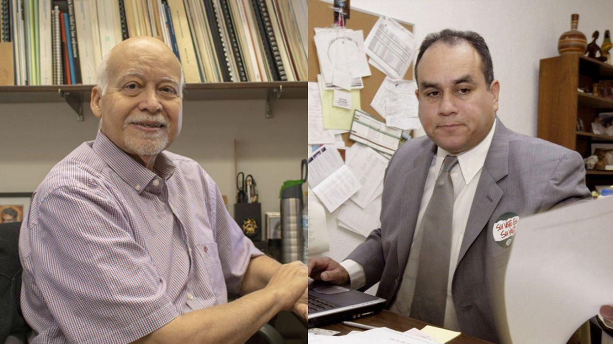 Remember the Activists Who Helped Power the Blue Wave