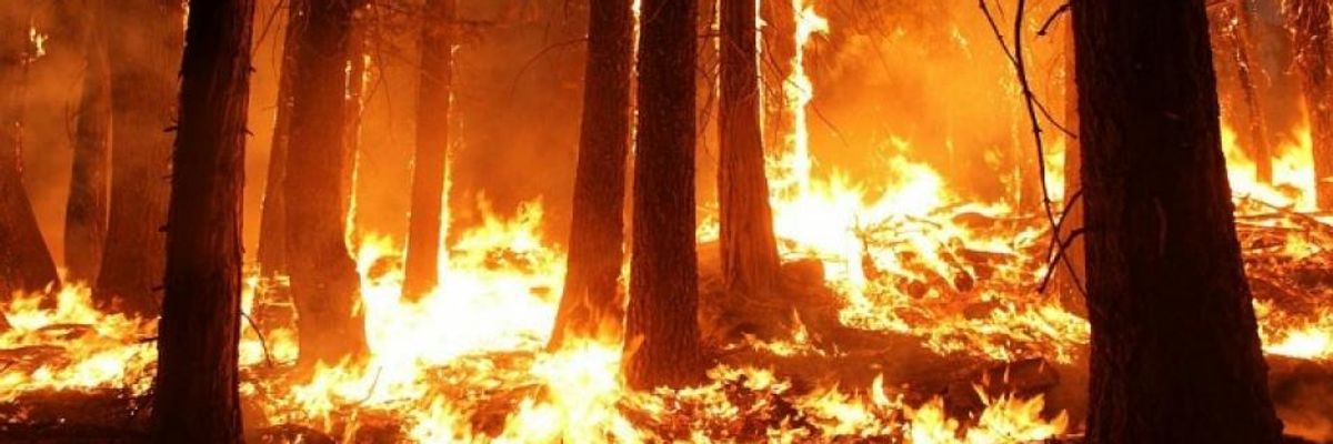 Plenty of 'Collusion' for The Ultimate Crime: Lighting the Earth on Fire