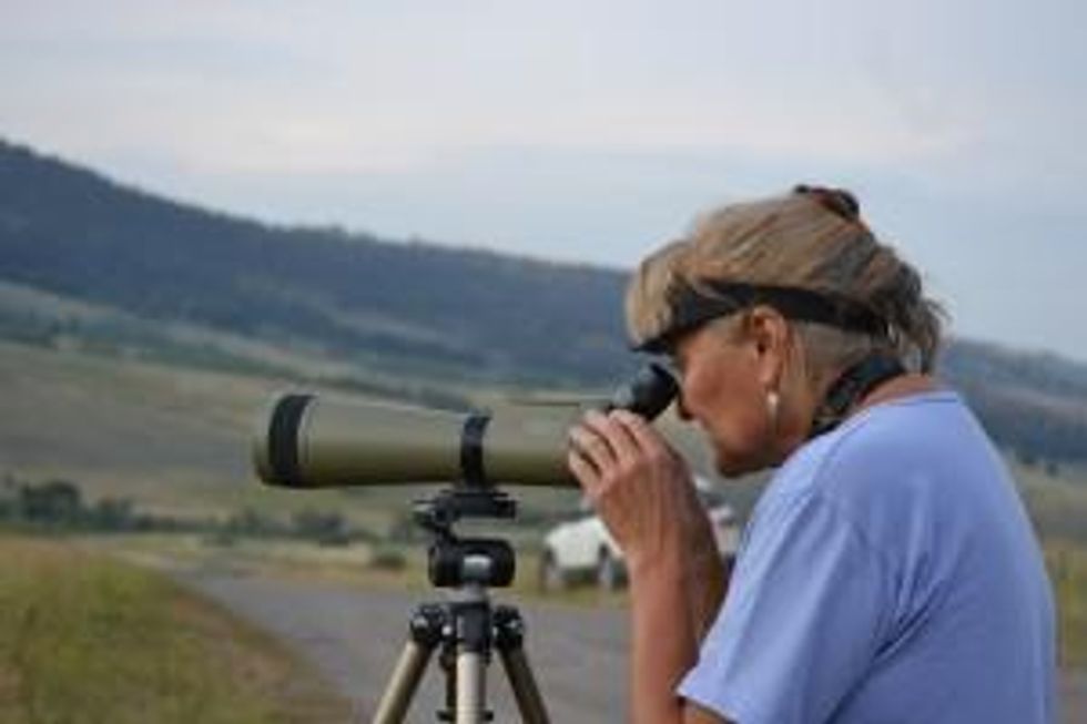 Lil Erickson, founder of the Western Sustainability Exchange, watching grizzlies in a valley north of Yellowstone Park.