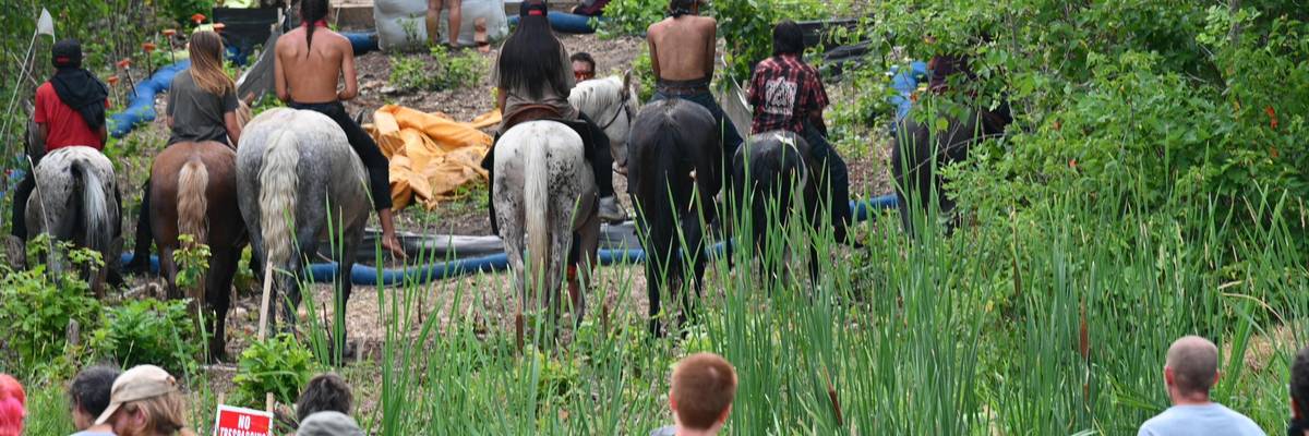 Line3-ShellRiver-WaterProtectors