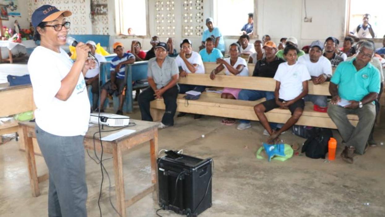 2020 Right Livelihood Laureates Honored for Fighting 'Increasing Threats to Democracy' Across Globe