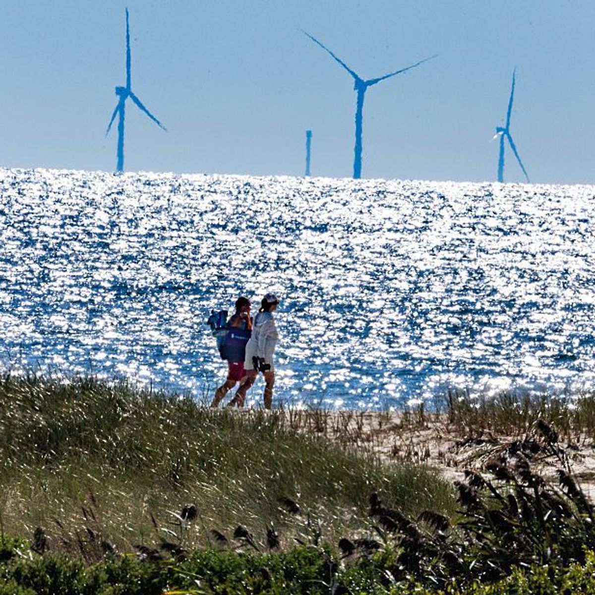 Trump Continues 'War Against Renewables' With Halt of Five Offshore Wind Farms