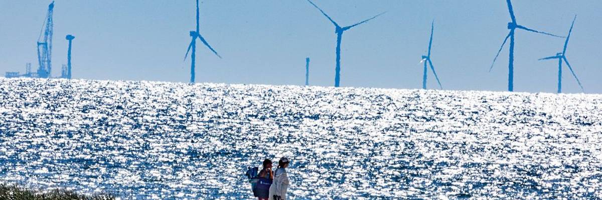 Trump Continues 'War Against Renewables' With Halt of Five Offshore Wind Farms